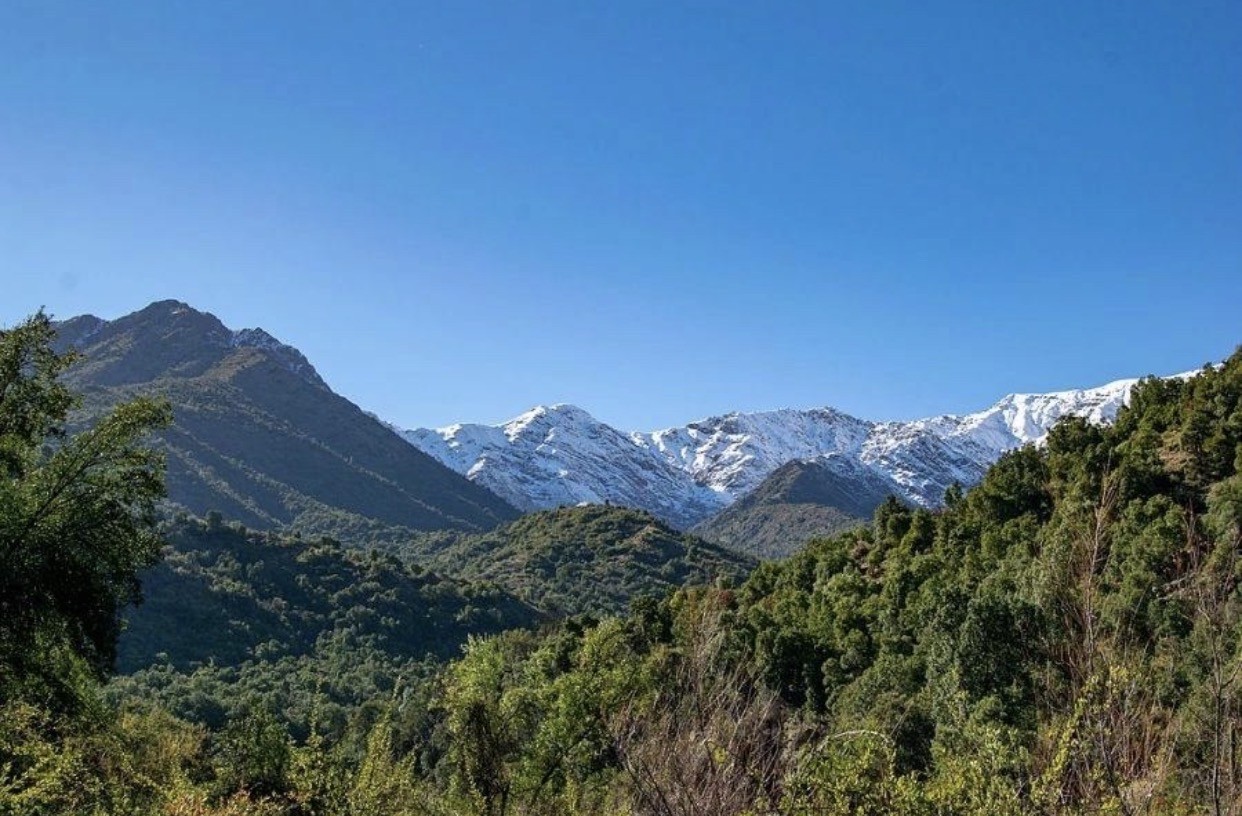 Reserva Nacional Las Torcazas de Pirque